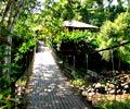 Hanging Bridge - Balung River Eco Resort