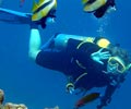 Diving - Bunga Raya Island Resort & Spa