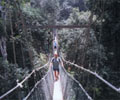 Canopy Walk - Nusa Holiday Village Taman Negara