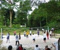 Volley Ball Court - Seagull Beach Resort