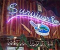 Survivor Bar - Tiga Island Resort