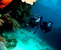 Scuba Diving - Genting Bayu Chalet Tioman Island