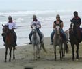 Horse Riding - Tuaran Beach Resort