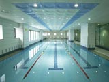 Swimming Pool - Hotel Neighborhood Jeju