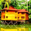 Borneo Tropical Rainforest Resort