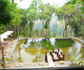 Swimming Pool - Zen Namkhan Boutique Resort