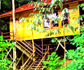 Kapur Chalet - Borneo Tropical Rainforest Resort