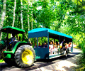 Trailer Ride - Borneo Tropical Rainforest Resort