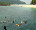 Snorkelling - D' Coconut Lagoon Lang Tengah Island 
