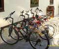 Bicycles - Palm Beach Resort & Spa Labuan