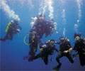 Diving - Tenggol Island Beach Resort