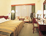 Plaza International Hotel
 Room