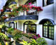 Strawberry Park Resort Promo
