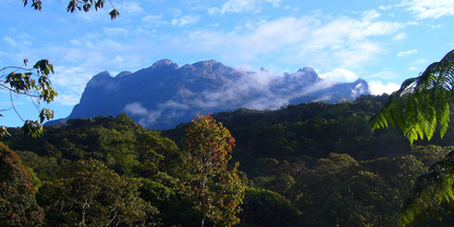 Kinabalu 